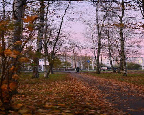 Person taking a gentle evening walk in a park